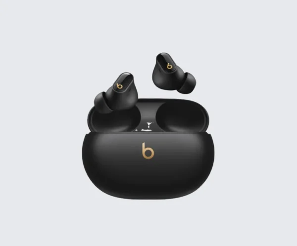Beats True Wireless Earbuds with Charging Case