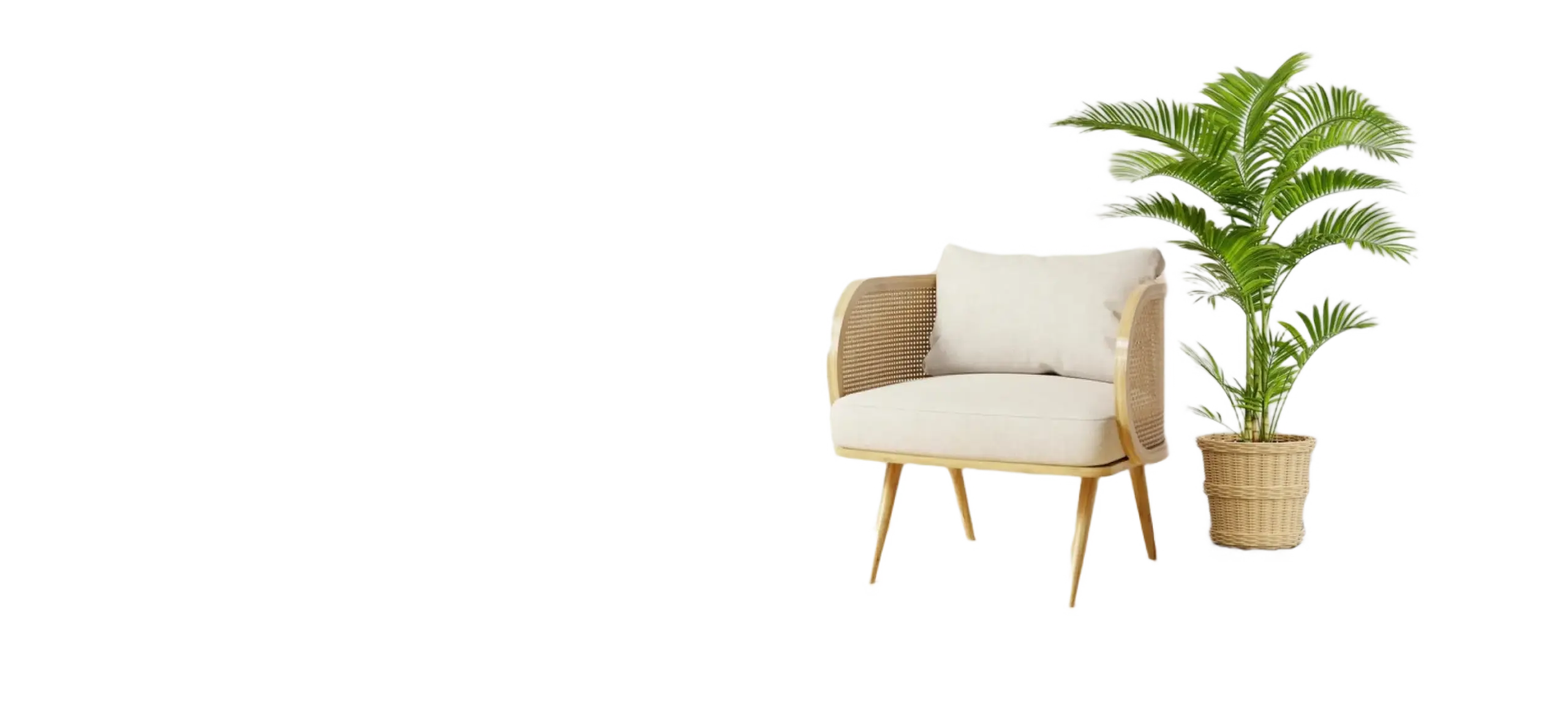 product-banner-lg-b1